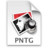 pntg Icon